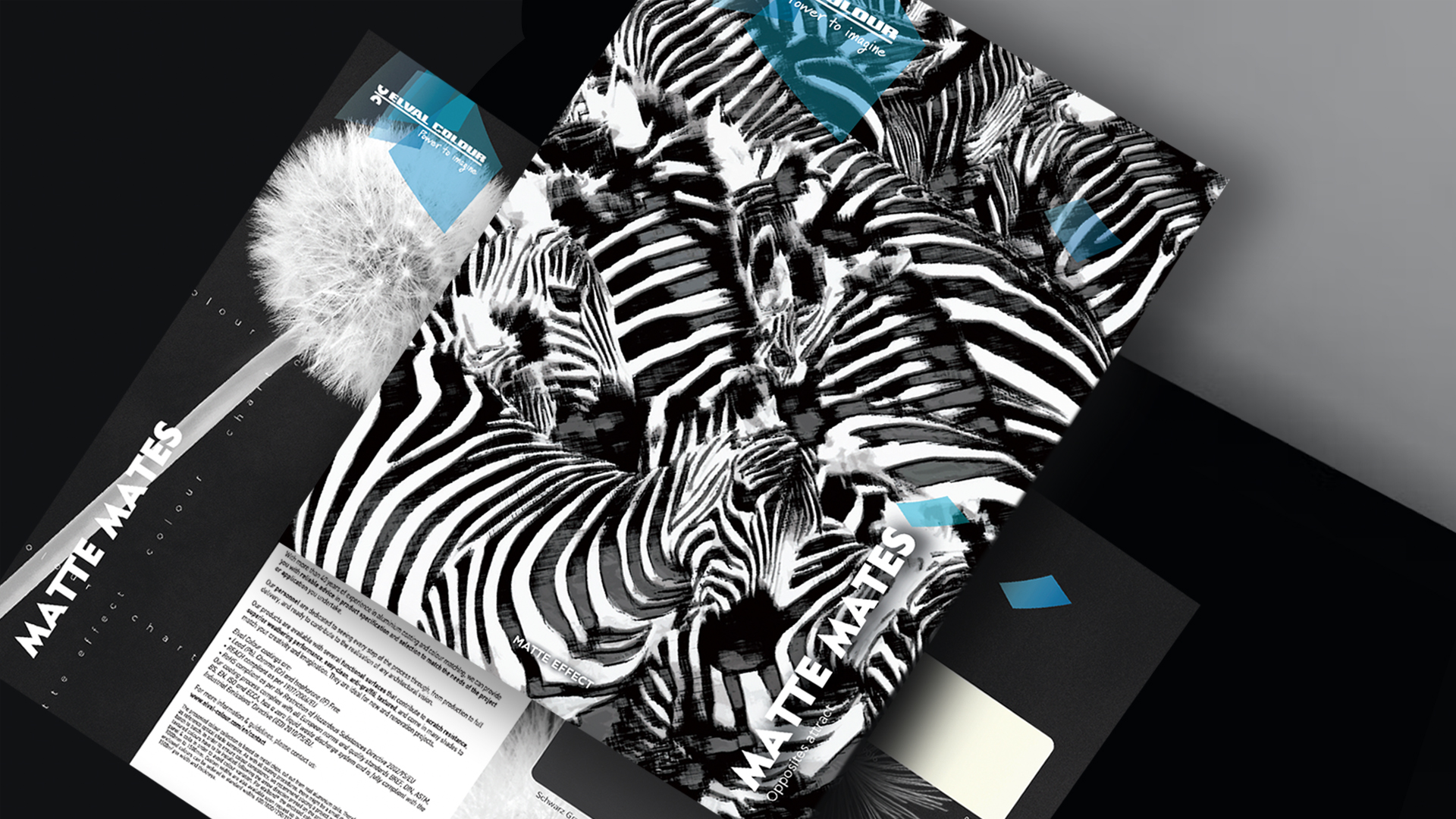EC_1920x1080_Zebra_17